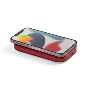 LEXON SOFTPOWER WIRELESSBANK