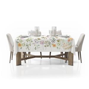 ALMAPHILIA ACHILLEA TOVAGLIA