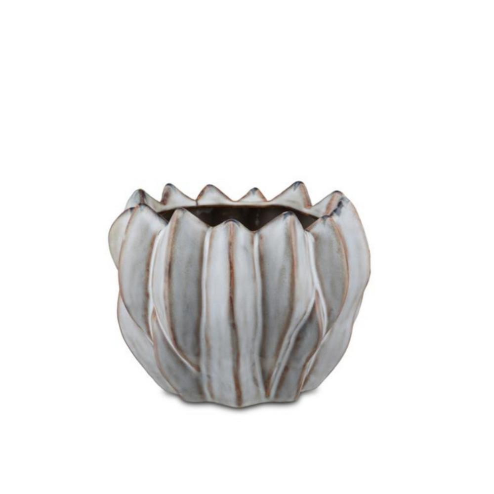 RITUALI DOMESTICI BRASSICA CACHEPOT