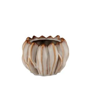 RITUALI DOMESTICI BRASSICA CACHEPOT